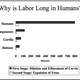 Image for article titled 13 Things You Probably Didn't Know About Human Birth